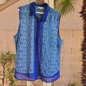 Claudia Richard Blue and White Sheer Blouse